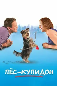  Пес-купидон 